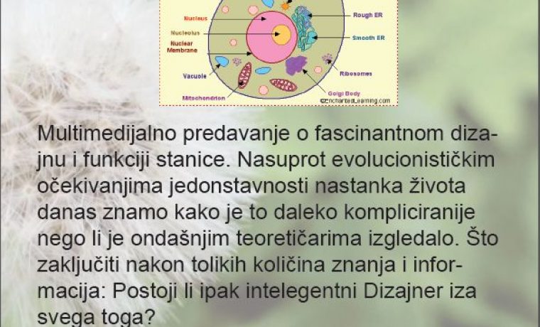 Foto: PR foto