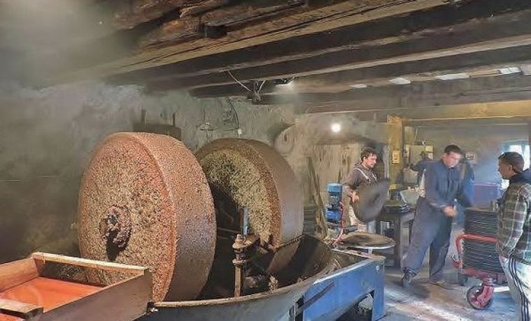 Foto: Naši školji