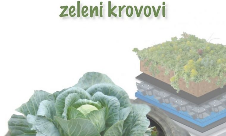 Foto: Eko Zadar
