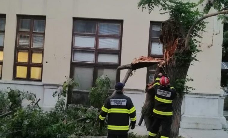 vatrogasci__stablo_1589869864.jpg Foto: čitatelj
