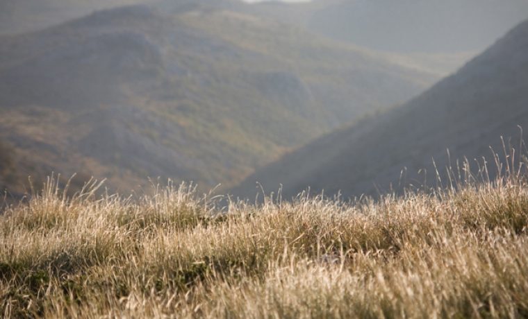 velebit_04_1259250948.jpg