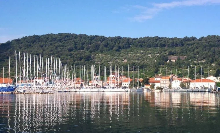 veli iž