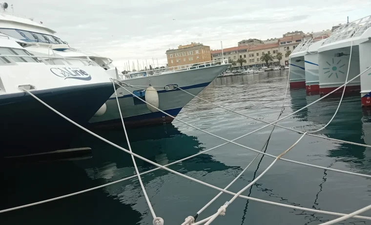 vez, katamarni