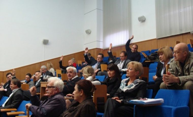 vije_nici__glasovanje_1356096117.JPG