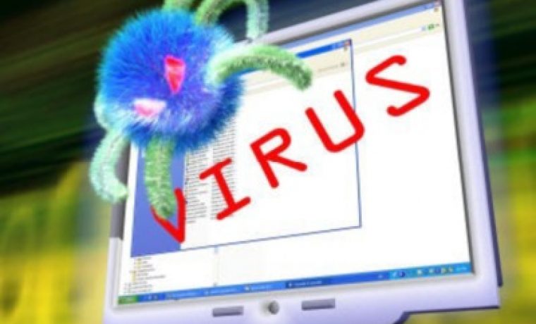 virus_1347950627.jpg Foto: hrt