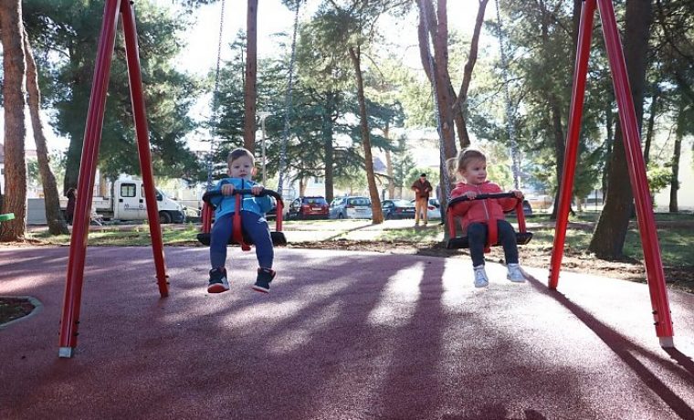 visnjik_1551358498.jpg