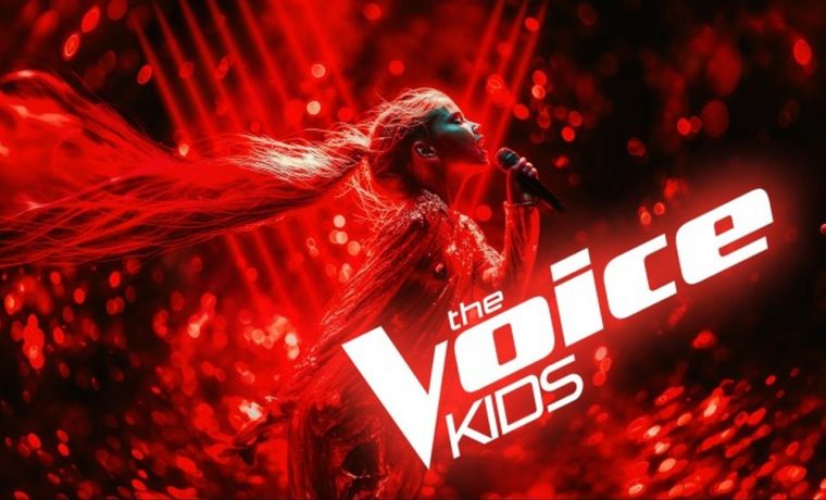 voice voice