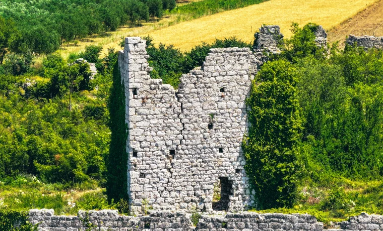 vrana