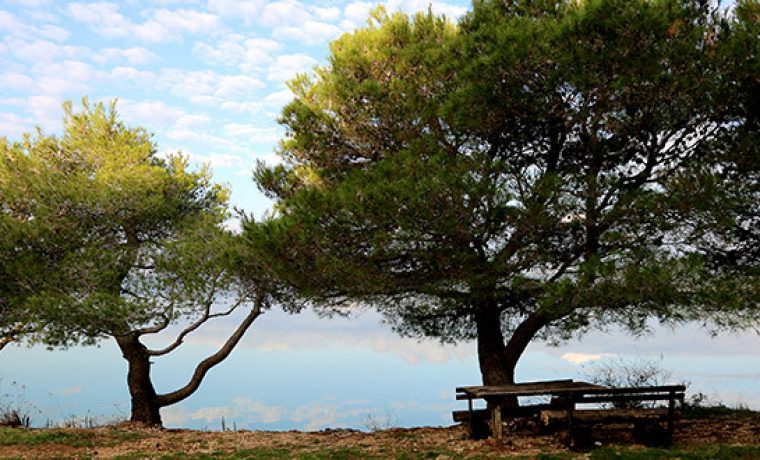 Foto: JUPP Vransko jezero