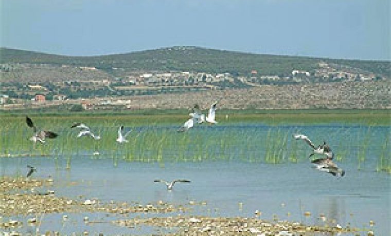 vransko_jezero_1262692483.jpg