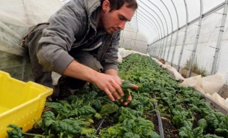 young_farmers_1024x538_400x280_1460529200.jpg Foto: poljomagazin.com