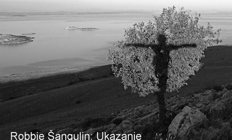 za_pozivnicu_Robbie_Šangulin_Ukazanje_1277197546.jpg Foto: Robbie Šangulin