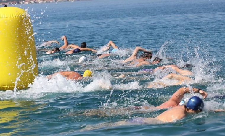 zadarska_pliva_ka_liga_1433764448.jpg Foto: PR foto