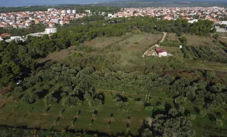 zaobilaznica maslinici2 zaobilaznica maslinici2