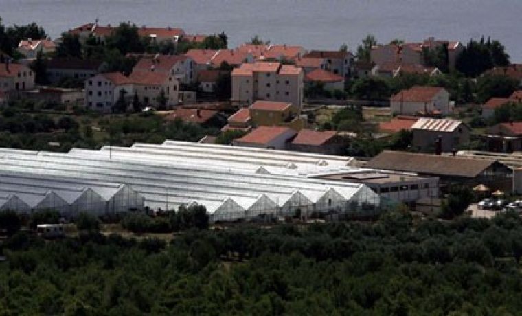 Foto: Slobodna Dalmacija