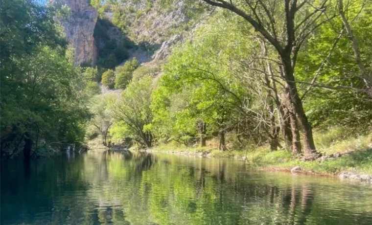 Foto: PU zadarska